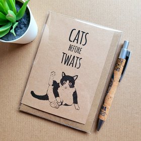 cats before twats birthday card, funny rude cat birthday card