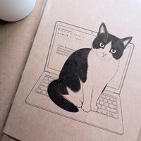 Funny Cat Birthday Card