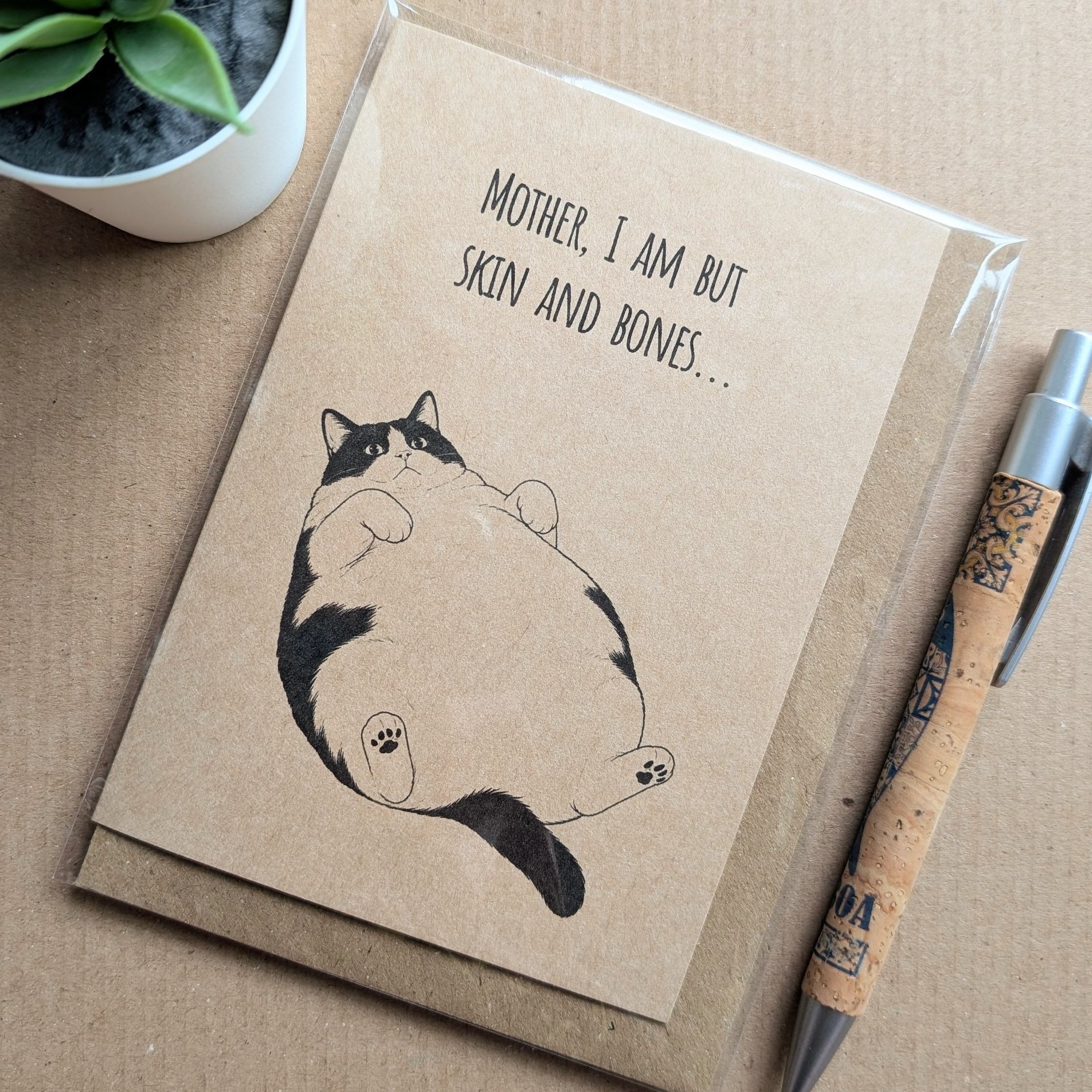 Funny Fat Cat Birthday Card