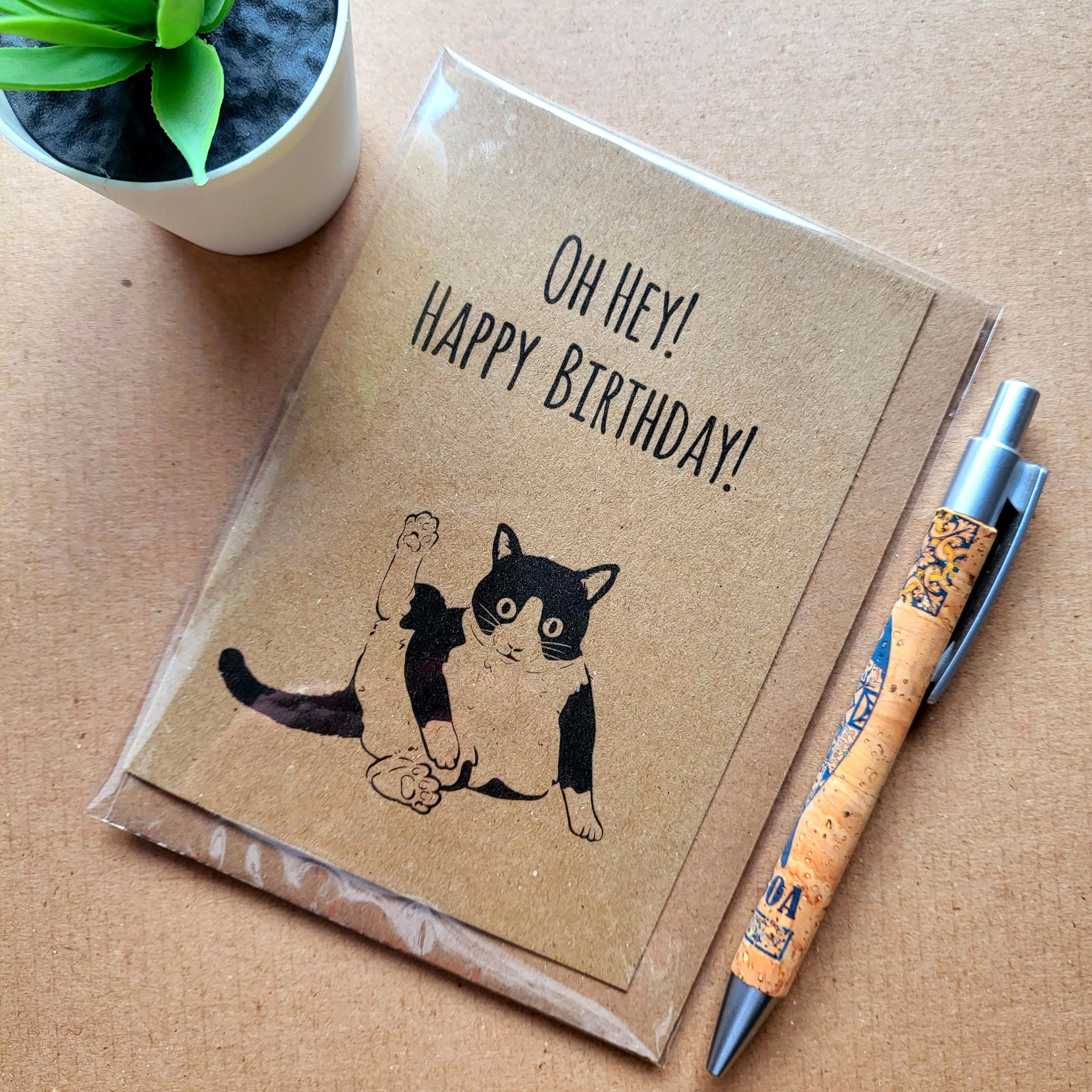 Funny Rude Cat Birthday Card