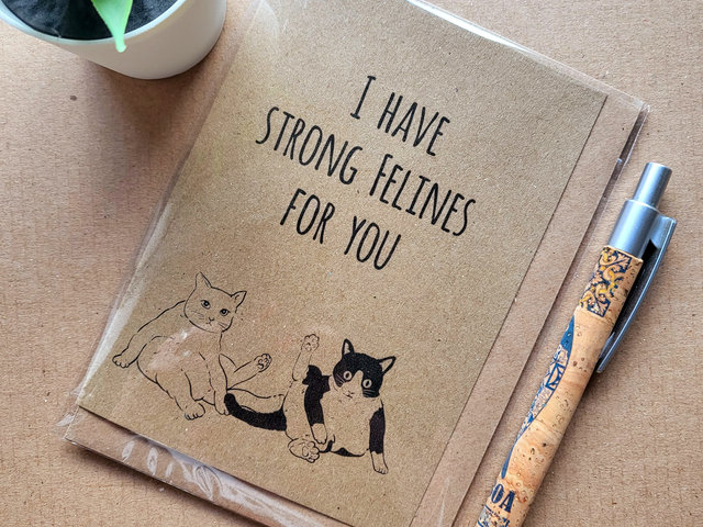 Funny Cat Valentines Card - I have felines for you